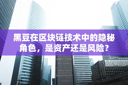黑豆在区块链技术中的隐秘角色，是资产还是风险？