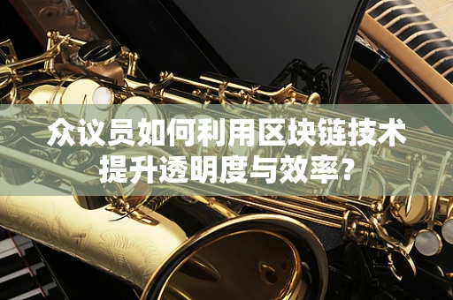 众议员如何利用区块链技术提升透明度与效率？