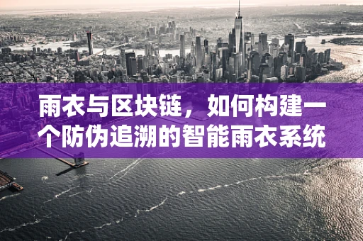 雨衣与区块链，如何构建一个防伪追溯的智能雨衣系统？
