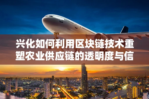 兴化如何利用区块链技术重塑农业供应链的透明度与信任？