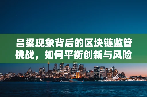 吕梁现象背后的区块链监管挑战，如何平衡创新与风险？
