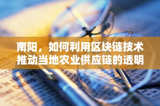 南阳，如何利用区块链技术推动当地农业供应链的透明与效率？