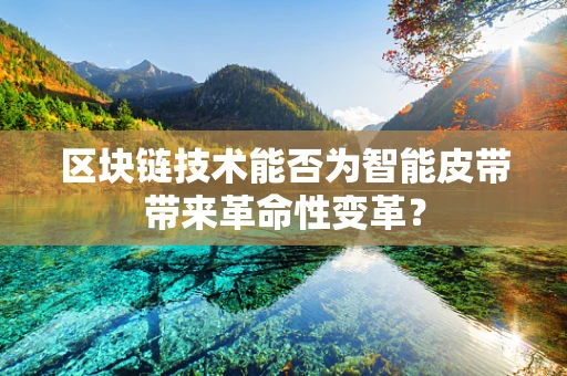 区块链技术能否为智能皮带带来革命性变革？