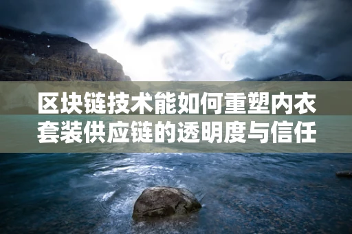区块链技术能如何重塑内衣套装供应链的透明度与信任？
