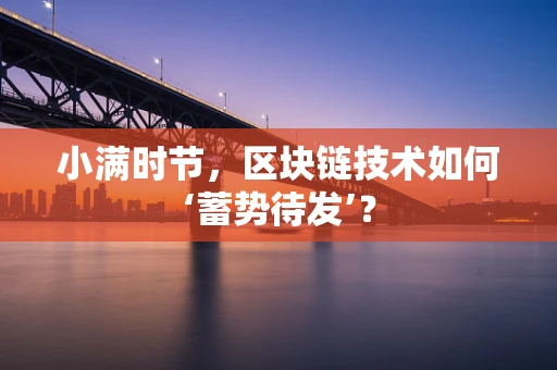小满时节，区块链技术如何‘蓄势待发’？