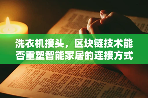 洗衣机接头，区块链技术能否重塑智能家居的连接方式？