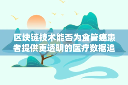 区块链技术能否为食管癌患者提供更透明的医疗数据追踪？