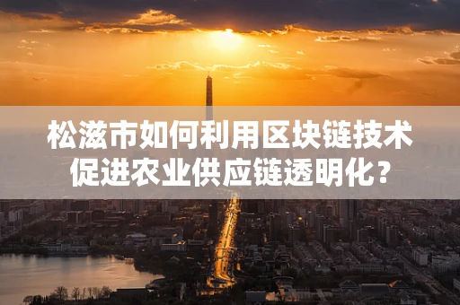 松滋市如何利用区块链技术促进农业供应链透明化？