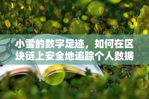 小雪的数字足迹，如何在区块链上安全地追踪个人数据？
