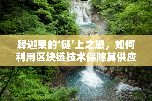 释迦果的‘链’上之旅，如何利用区块链技术保障其供应链透明度？