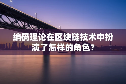 编码理论在区块链技术中扮演了怎样的角色？