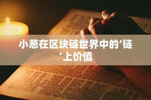 小葱在区块链世界中的‘链’上价值