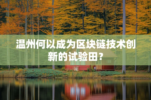 温州何以成为区块链技术创新的试验田？