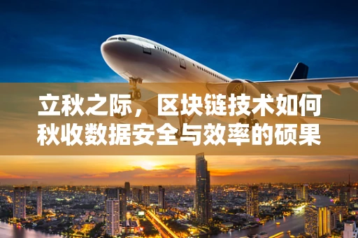 立秋之际，区块链技术如何秋收数据安全与效率的硕果？