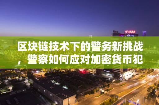 区块链技术下的警务新挑战，警察如何应对加密货币犯罪？