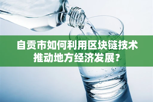 自贡市如何利用区块链技术推动地方经济发展？
