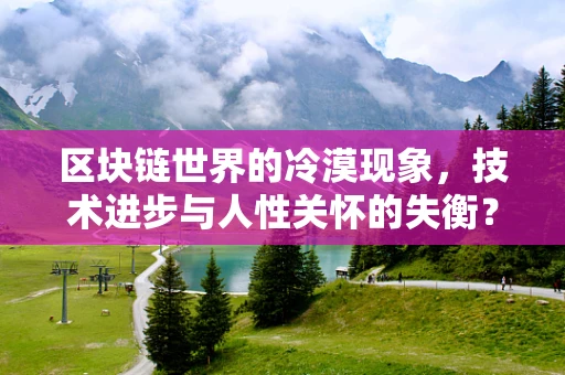 区块链世界的冷漠现象，技术进步与人性关怀的失衡？
