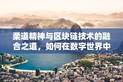 柔道精神与区块链技术的融合之道，如何在数字世界中实现‘以柔克刚’？