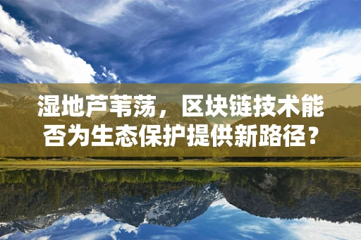 湿地芦苇荡，区块链技术能否为生态保护提供新路径？
