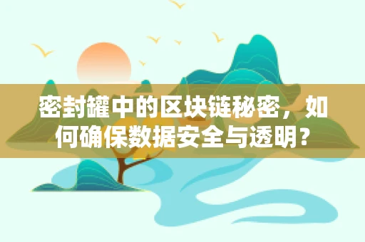 密封罐中的区块链秘密，如何确保数据安全与透明？