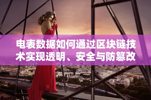 电表数据如何通过区块链技术实现透明、安全与防篡改？