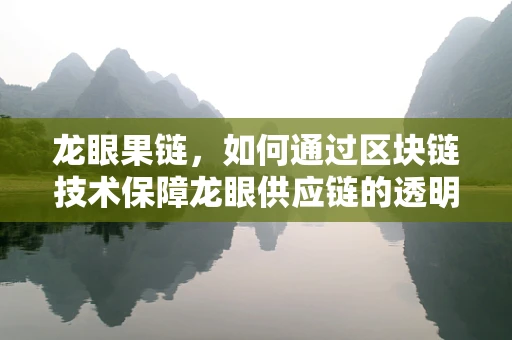 龙眼果链，如何通过区块链技术保障龙眼供应链的透明与安全？