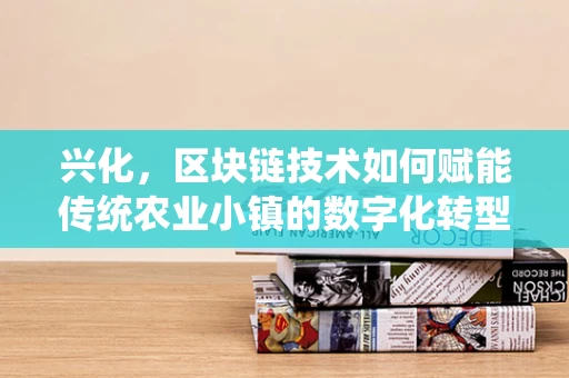 兴化，区块链技术如何赋能传统农业小镇的数字化转型？