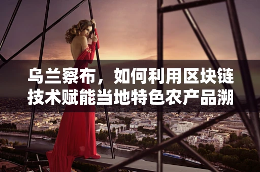 乌兰察布，如何利用区块链技术赋能当地特色农产品溯源？