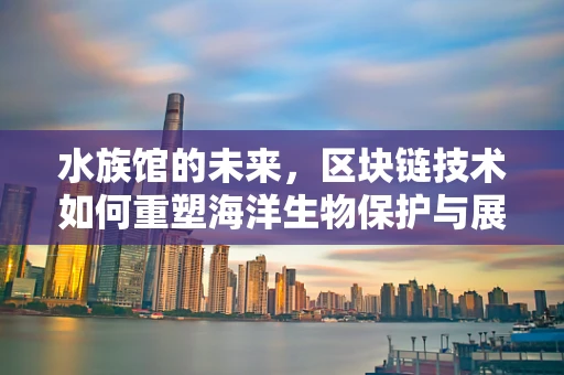 水族馆的未来，区块链技术如何重塑海洋生物保护与展示？