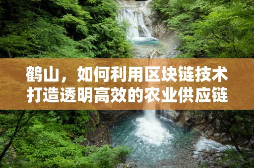鹤山，如何利用区块链技术打造透明高效的农业供应链？