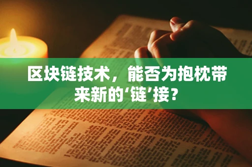 区块链技术，能否为抱枕带来新的‘链’接？
