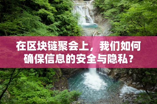 在区块链聚会上，我们如何确保信息的安全与隐私？