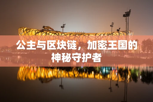 公主与区块链，加密王国的神秘守护者