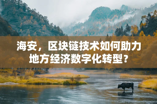 海安，区块链技术如何助力地方经济数字化转型？