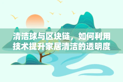 清洁球与区块链，如何利用技术提升家居清洁的透明度与效率？