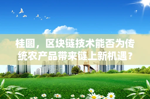 桂圆，区块链技术能否为传统农产品带来链上新机遇？