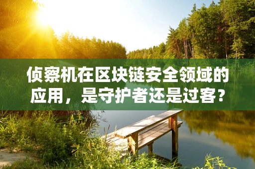 侦察机在区块链安全领域的应用，是守护者还是过客？