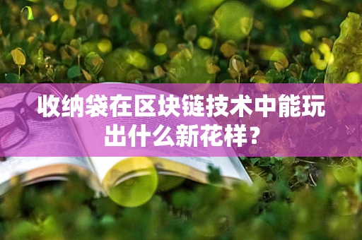 收纳袋在区块链技术中能玩出什么新花样？