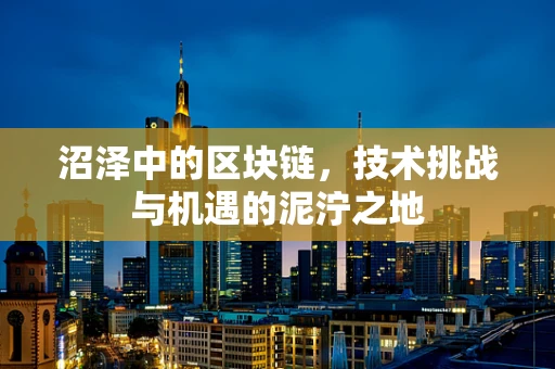沼泽中的区块链，技术挑战与机遇的泥泞之地