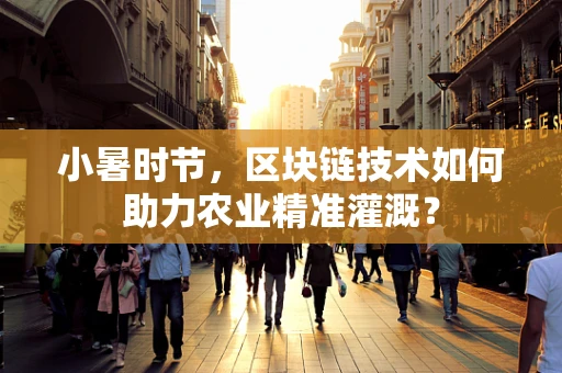 小暑时节，区块链技术如何助力农业精准灌溉？