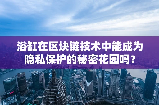 浴缸在区块链技术中能成为隐私保护的秘密花园吗？