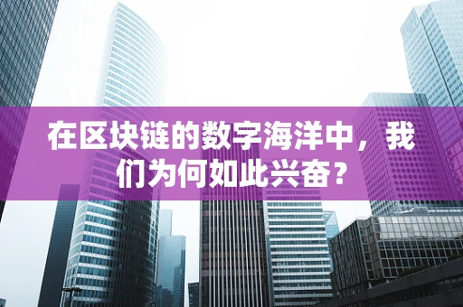 在区块链的数字海洋中，我们为何如此兴奋？