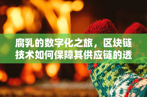 腐乳的数字化之旅，区块链技术如何保障其供应链的透明与安全？