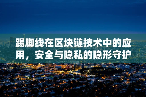 踢脚线在区块链技术中的应用，安全与隐私的隐形守护者？