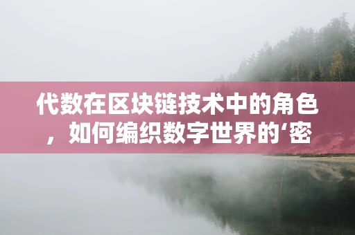 代数在区块链技术中的角色，如何编织数字世界的‘密码’？