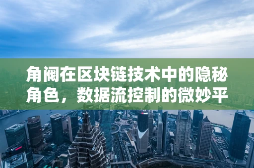 角阀在区块链技术中的隐秘角色，数据流控制的微妙平衡