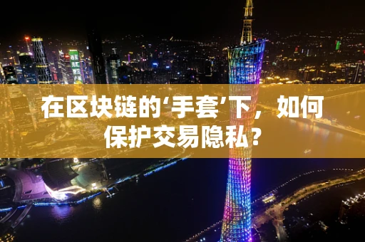在区块链的‘手套’下，如何保护交易隐私？