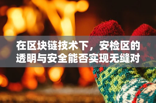 在区块链技术下，安检区的透明与安全能否实现无缝对接？
