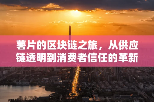 薯片的区块链之旅，从供应链透明到消费者信任的革新