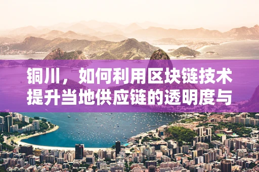 铜川，如何利用区块链技术提升当地供应链的透明度与效率？